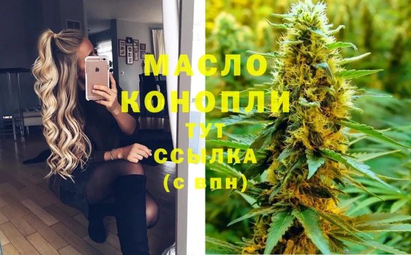 гашик Богородицк