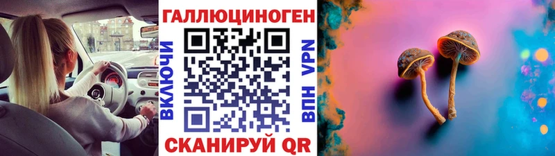 мега как войти  Короча  Галлюциногенные грибы Psilocybe 