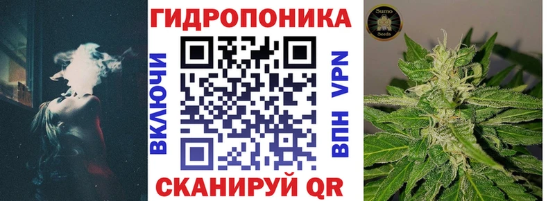 Бошки марихуана SATIVA & INDICA  даркнет сайт  мега ссылки  Короча 